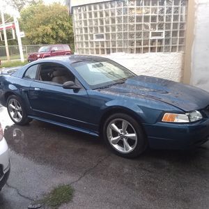 Meet your Posher, Ricky